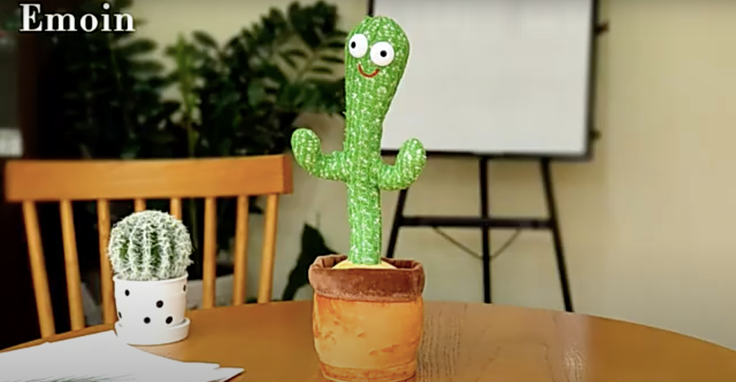 Kyona a testé le cactus qui parle 